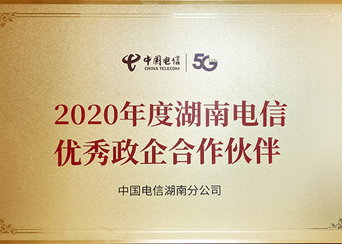 Excellent Government-Enterprise Partner of Hunan Telecom in 2020